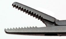 House Miniature Forceps 5mm - X0239
